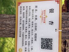 碑林公园-碑林公园