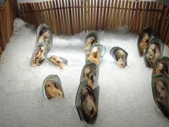 -福禧荟·海鲜自助