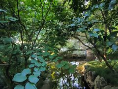 -复旦大学附属华山医院(总院)