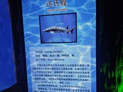 -泉城欧乐堡海洋极地世界