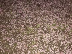 -堤角公园