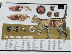 -良伴无忧宠物医院(泰欣嘉园店)