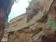 -陕西自然博物馆