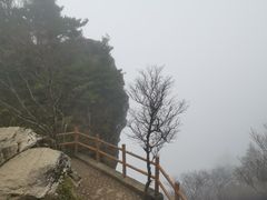-牛背梁国家森林公园