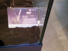 android_upload_pic-中华赏石园