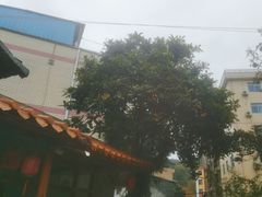 -竹庄餐馆·26年店(南昆山景区店)