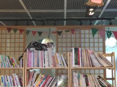 -小时光咖啡馆(开森度假森林店)