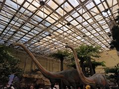 -国家自然博物馆