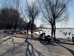 -丁香湖公园