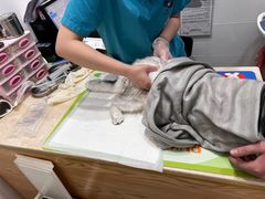 -芭比堂动物医院(广州爱宠下渡路分院)