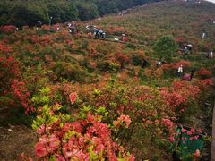 -瑞安圣井山景区