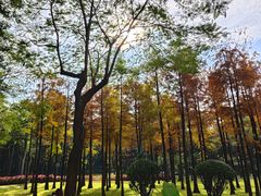 -晓港公园