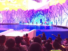 -珠海横琴长隆《卡卡虎奇遇记》