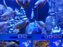 -成都浩海立方海洋公园