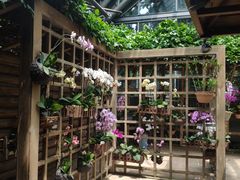 -南山植物园