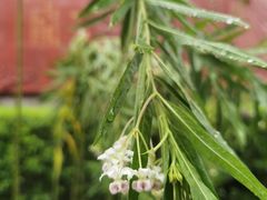-广州神农草堂中医药博物馆