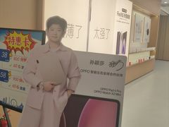 -鹏欣水游城