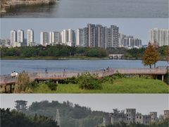 -广东花都湖国家湿地公园
