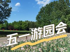 -朝阳公园