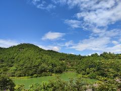 -广州白江湖森林公园