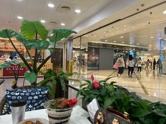 -荷花泰菜(东方新天地店)