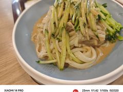 -魏家凉皮(十里河店)