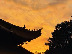 -普陀山慧济禅寺