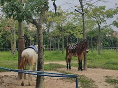 -广东花都香草世界旅游度假区