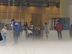 -TheRink大零溜冰场(IFS国金中心店)