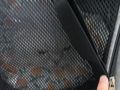-瑞鹏·疫苗·绝育·宠物医院(广九店)