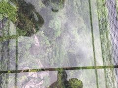 -梦幻奥陶纪景区