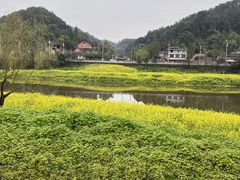 -乐山大佛风景名胜区乌尤寺南门-售票点