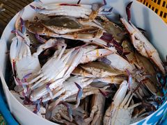 -海峡水产品交易中心(海鲜交易区)