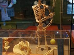 -香港科学馆