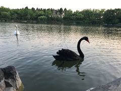 -上海怡沁园度假酒店