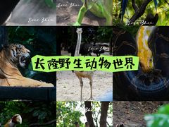 -广州长隆野生动物世界