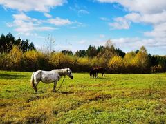 -北极村旅游风景区