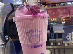 -一只酸奶牛(大融城店)