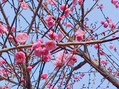 -重庆彩云湖湿地公园