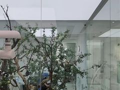 -极简口腔(总院)