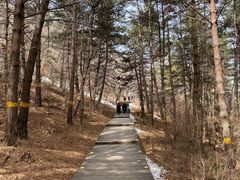 -帽儿山国家森林公园