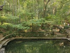 -西湖风景区十里琅珰-五云山