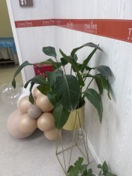 点击看大图 -仁爱时光·华中AI体雕·抗衰中心旗舰店