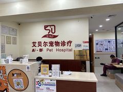 -艾贝尔宠物诊疗