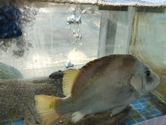 -富临港·蒸汽海鲜·手抓海鲜·炒菜(栈桥店)