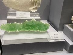 -湖南省地质博物馆