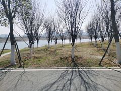 -洋湖国家湿地公园
