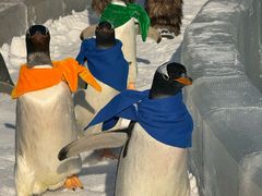 -波塞冬旅游度假区