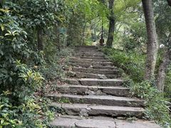 -杭州半山国家森林公园