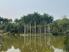 -中国科学院西双版纳热带植物园
